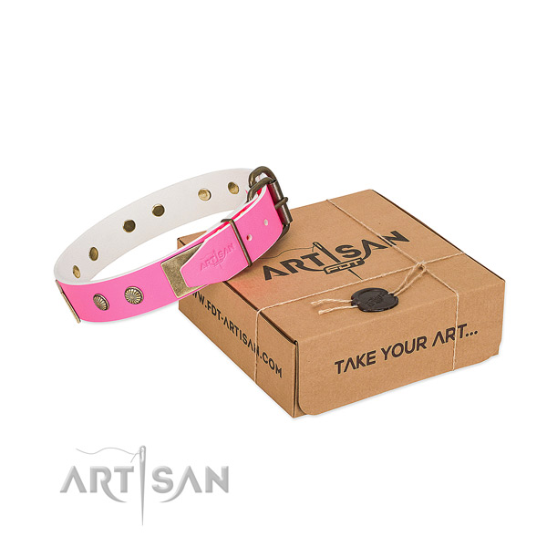 Corrosion proof D-ring on dog collar for easy wearing