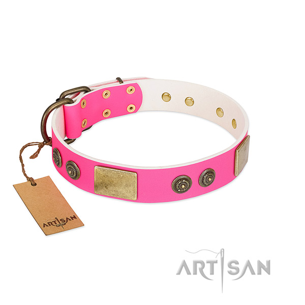 Stylish leather dog collar for daily use