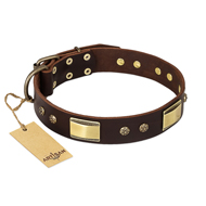 "Rich Fashion" FDT Artisan Decorated Leather Golden Retriever Collar with Plates and Studs