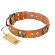 "Saucy Nature" FDT Artisan Tan Leather Golden Retriever Collar with Old Bronze Look Plates and Skulls