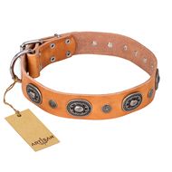 "Twinkle Twinkle" FDT Artisan Incredible Studded Tan Leather Golden Retriever Collar