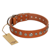 "Gorgeous Roundie" FDT Artisan Tan Leather Golden Retriever Collar with Chrome-plated Circles