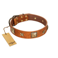 "Celtic Tunes" FDT Artisan Tan Leather Golden Retriever Collar Adorned with Stars and Squares
