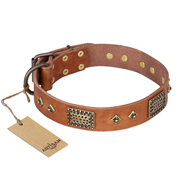 "Catchy Look" FDT Artisan Decorated Tan Leather Golden Retriever Collar