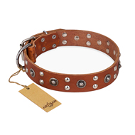"Silver Elegance" FDT Artisan Decorated Leather Golden Retriever Collar with Old Silver-Like Plated Studs and Cones