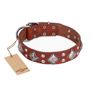 "Magic Squares" FDT Artisan Tan Leather Golden Retriever Collar with Silver-like Decor
