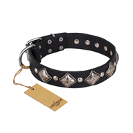 "Silver Charm" FDT Artisan Leather Golden Retriever Collar with Silvery-Plated Large Square Studs
