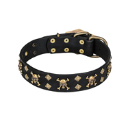 "Jolly Rojer" FDT Artisan Leather Golden Retriever Collar with Pirate Skulls and Studs - 1 1/2 inch (40 mm) wide