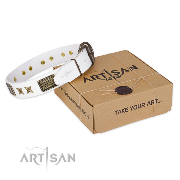 Durable buckle on genuine leather collar for your attractive canine