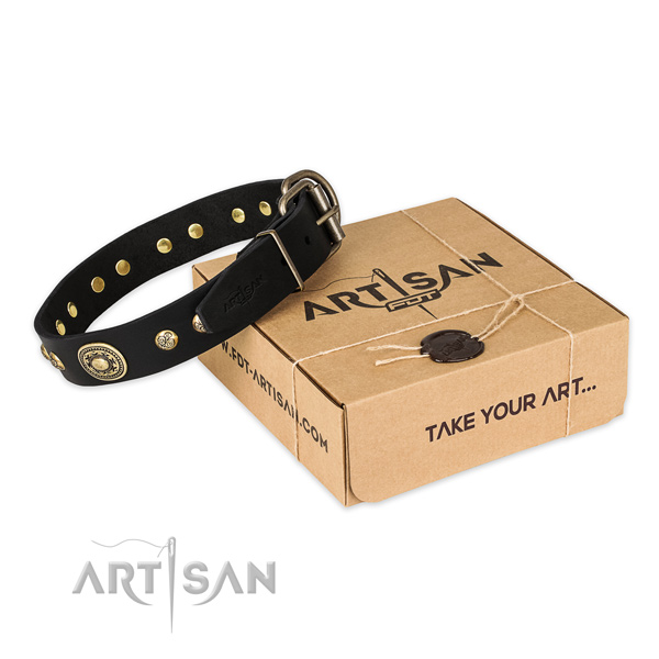 Rust resistant hardware on full grain genuine leather dog collar for fancy walking