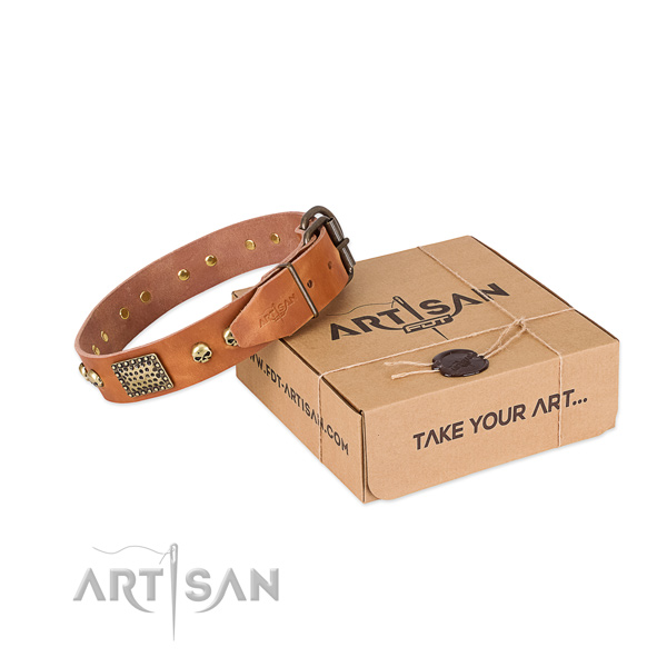Durable D-ring on dog collar for daily walking