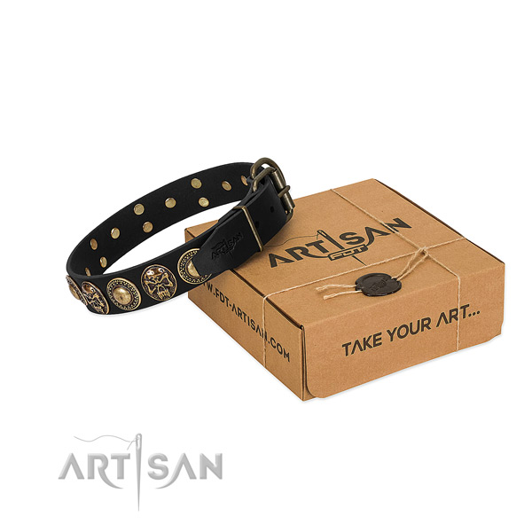 Reliable decorations on dog collar for everyday walking