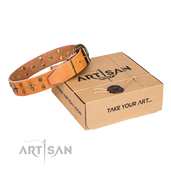 Stylish walking dog collar of fine quality genuine leather with embellishments