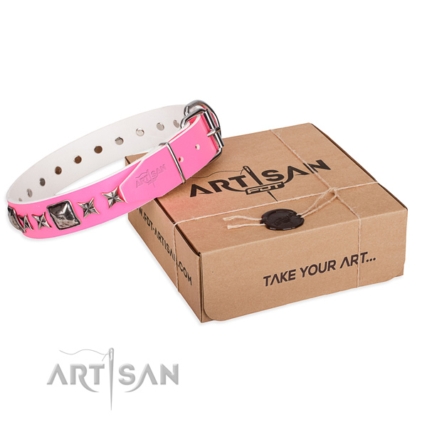 Walking full grain leather dog collar with decorations