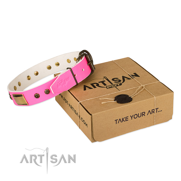 Fine quality full grain genuine leather collar for your attractive canine
