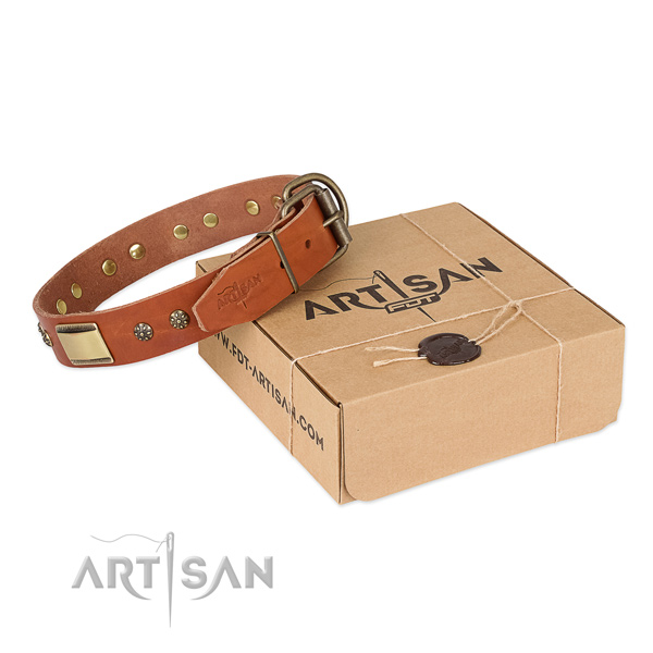 Unique full grain genuine leather collar for your attractive doggie