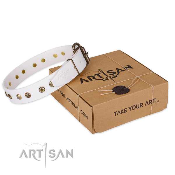 Rust resistant fittings on leather collar for your attractive canine