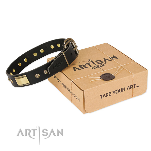 Easy wearing leather collar for your impressive canine