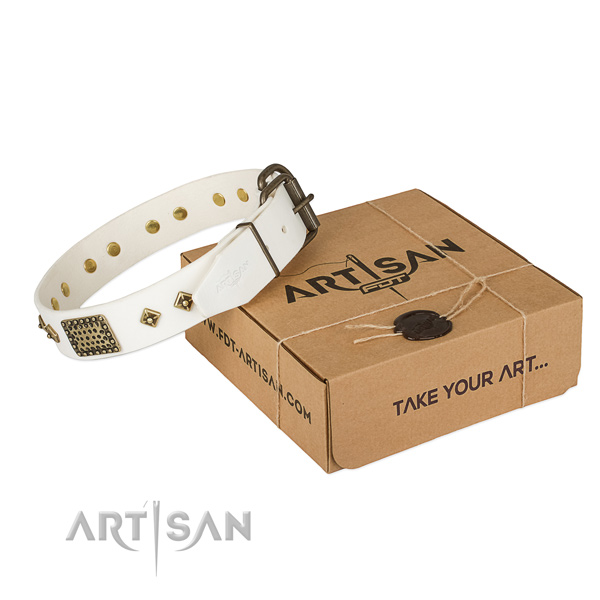 Unusual full grain leather collar for your impressive canine