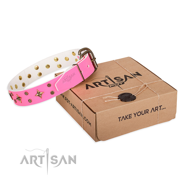 Stylish walking dog collar of reliable genuine leather with decorations