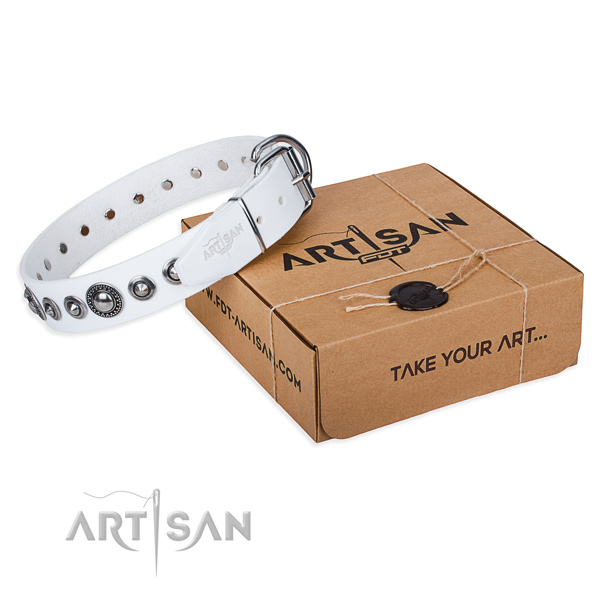 Full grain leather dog collar made of flexible material with corrosion resistant traditional buckle