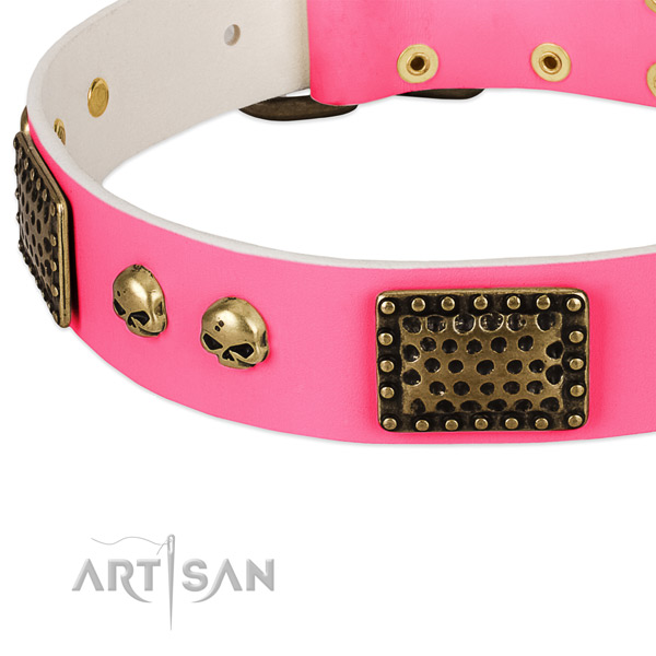 Reliable studs on natural leather dog collar for your dog