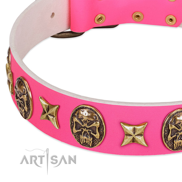 Full grain leather dog collar with top notch decorations