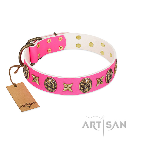 Full grain leather dog collar with rust-proof adornments