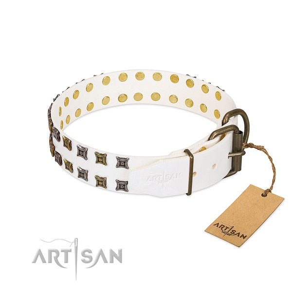 Leather collar with top notch embellishments for your four-legged friend