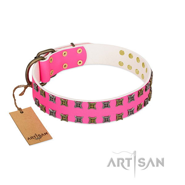 Full grain leather collar with stunning studs for your dog