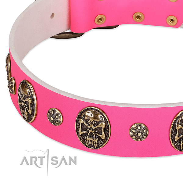 Easy to adjust dog collar crafted for your handsome four-legged friend