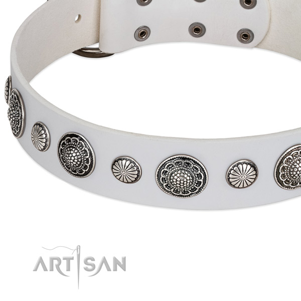 Natural leather collar with rust-proof buckle for your attractive dog