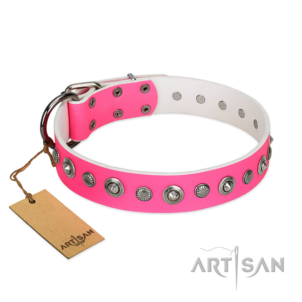 Fine quality natural leather dog collar with fashionable embellishments