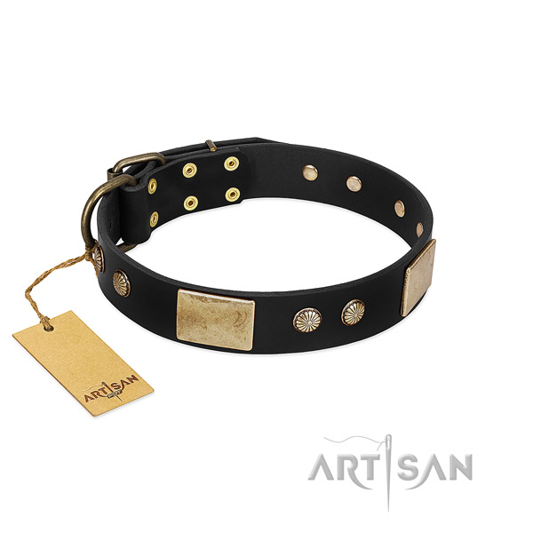 Easy wearing full grain natural leather dog collar for walking your canine
