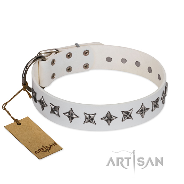 Daily use dog collar of strong full grain leather with studs