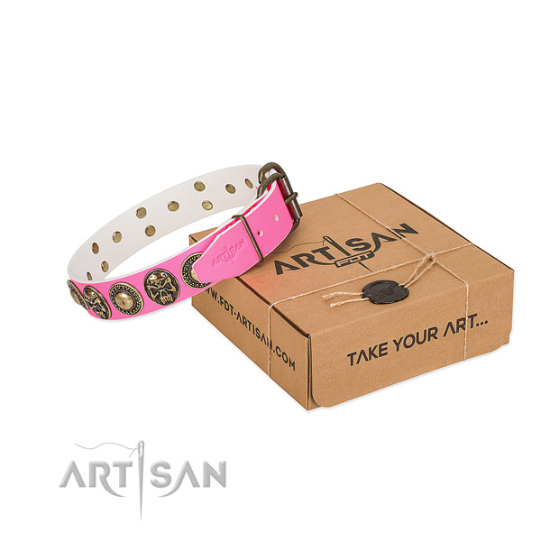 Reliable D-ring on dog collar for daily use