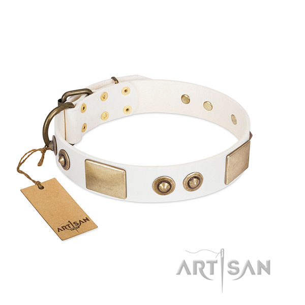 Corrosion resistant D-ring on leather dog collar for your four-legged friend
