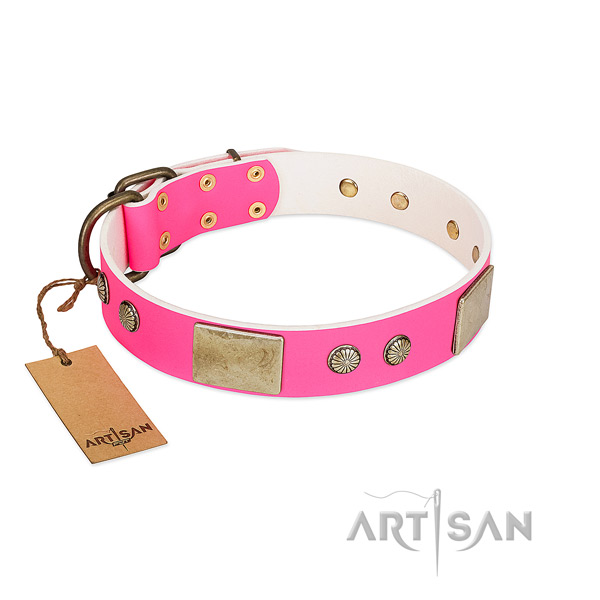 Easy wearing natural leather dog collar for walking your canine