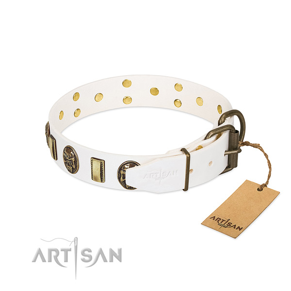 Durable hardware on full grain natural leather collar for everyday walking your pet