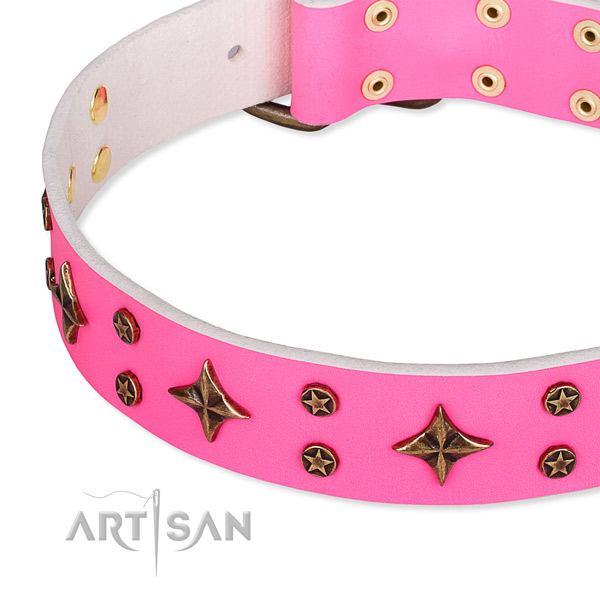 Stylish walking studded dog collar of durable natural leather