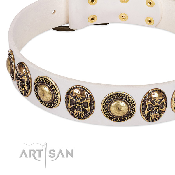 Corrosion proof adornments on leather dog collar for your pet