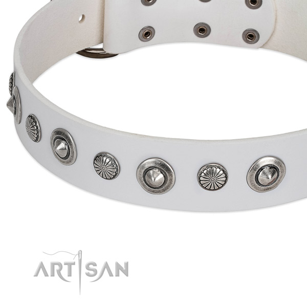 Leather collar with rust resistant D-ring for your stylish four-legged friend