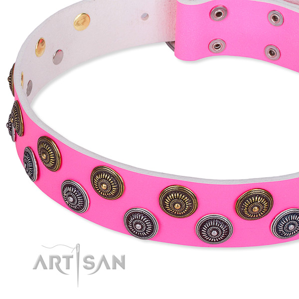 Everyday walking embellished dog collar of top quality full grain leather