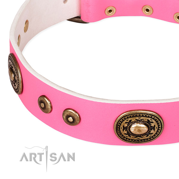 Embellished dog collar made of best quality full grain natural leather