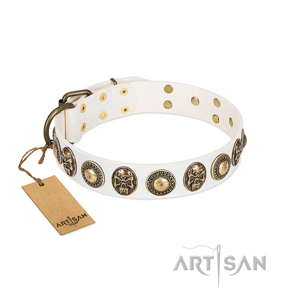 Easy to adjust full grain leather dog collar for everyday walking your dog