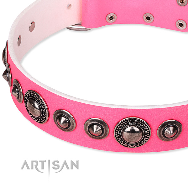 Comfortable wearing adorned dog collar of reliable full grain natural leather