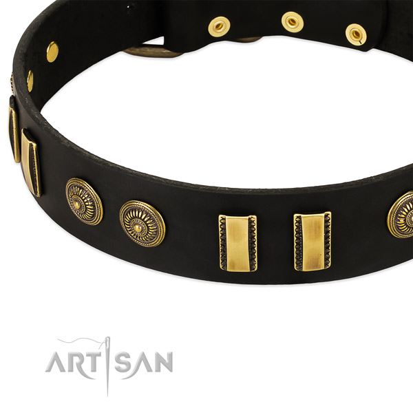 Strong buckle on leather dog collar for your dog