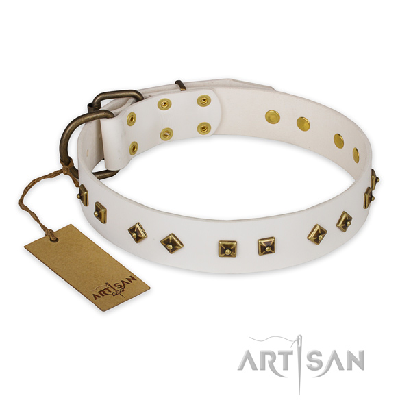 Stunning full grain genuine leather dog collar with rust-proof fittings