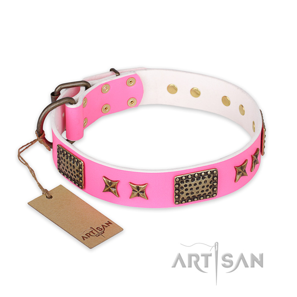 Easy to adjust full grain leather dog collar with rust-proof hardware