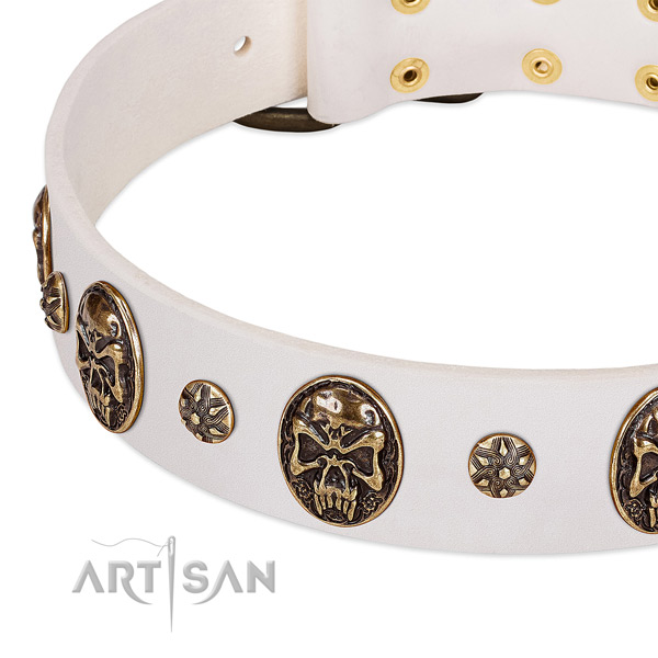 Corrosion resistant traditional buckle on natural genuine leather dog collar for your four-legged friend